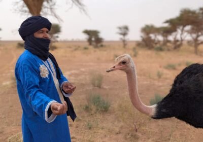 Qui est Lahcen Alloud, le fils du désert et gardien des traditions du Sahara ?