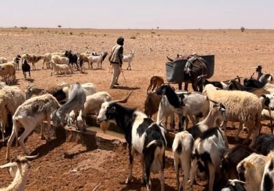Comment les traditions nomades inspirent-elles une autre façon de vivre ?