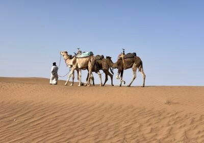Le tourisme durable peut-il préserver les écosystèmes fragiles du désert du Sahara ?