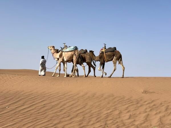Circuit trek en bivouac sauvage – 5 jours / 4 nuits