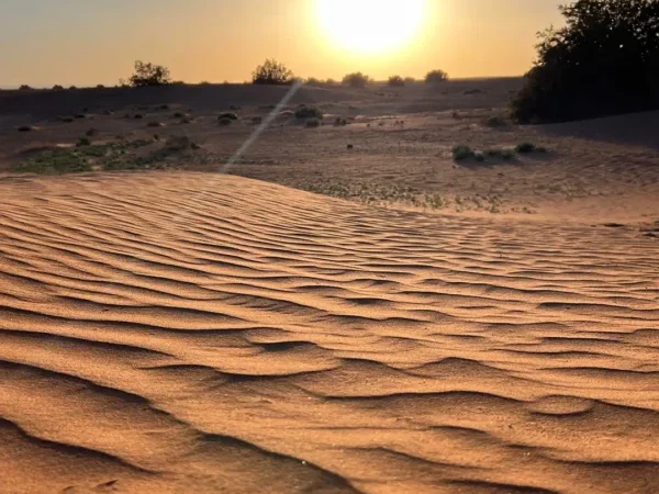 Gravel Challenge Maroc De l’Atlas aux Dunes