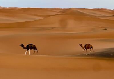 Pourquoi le désert est-il la meilleure destination pour un voyage hors des sentiers battus au Maroc ?