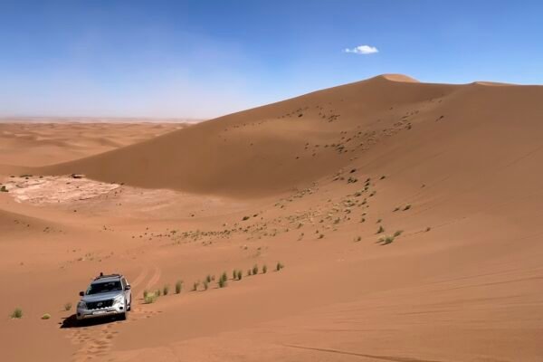 Excursion 4×4 réserve sauvage de M’Hamid