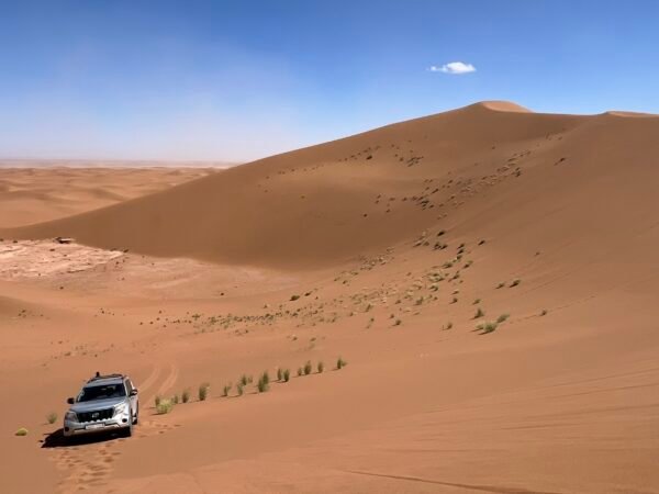 Excursion 4×4 réserve sauvage de M’Hamid